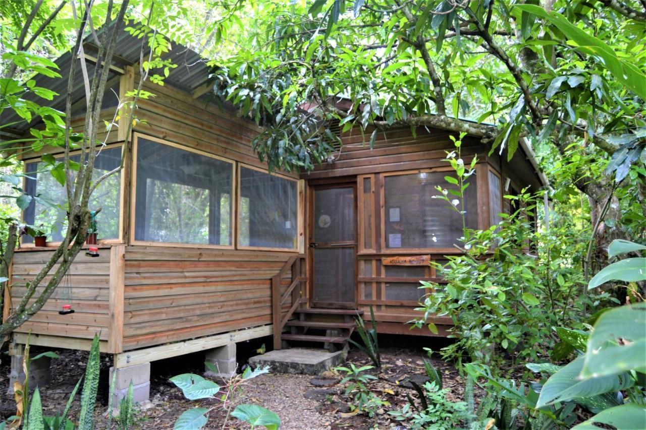 Iguana Roost Tourism Gold Standard Fully Equipped Two Bedroom Cabin 산 이그나시오 외부 사진