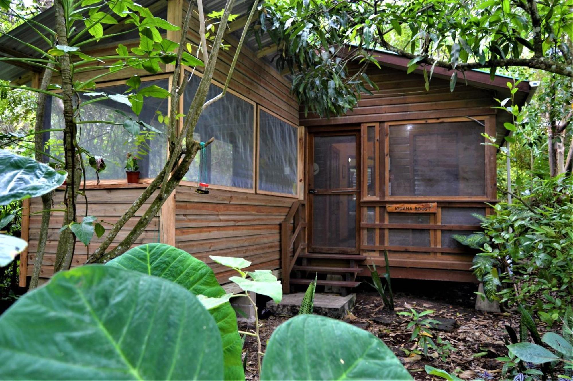 Iguana Roost Tourism Gold Standard Fully Equipped Two Bedroom Cabin 산 이그나시오 외부 사진