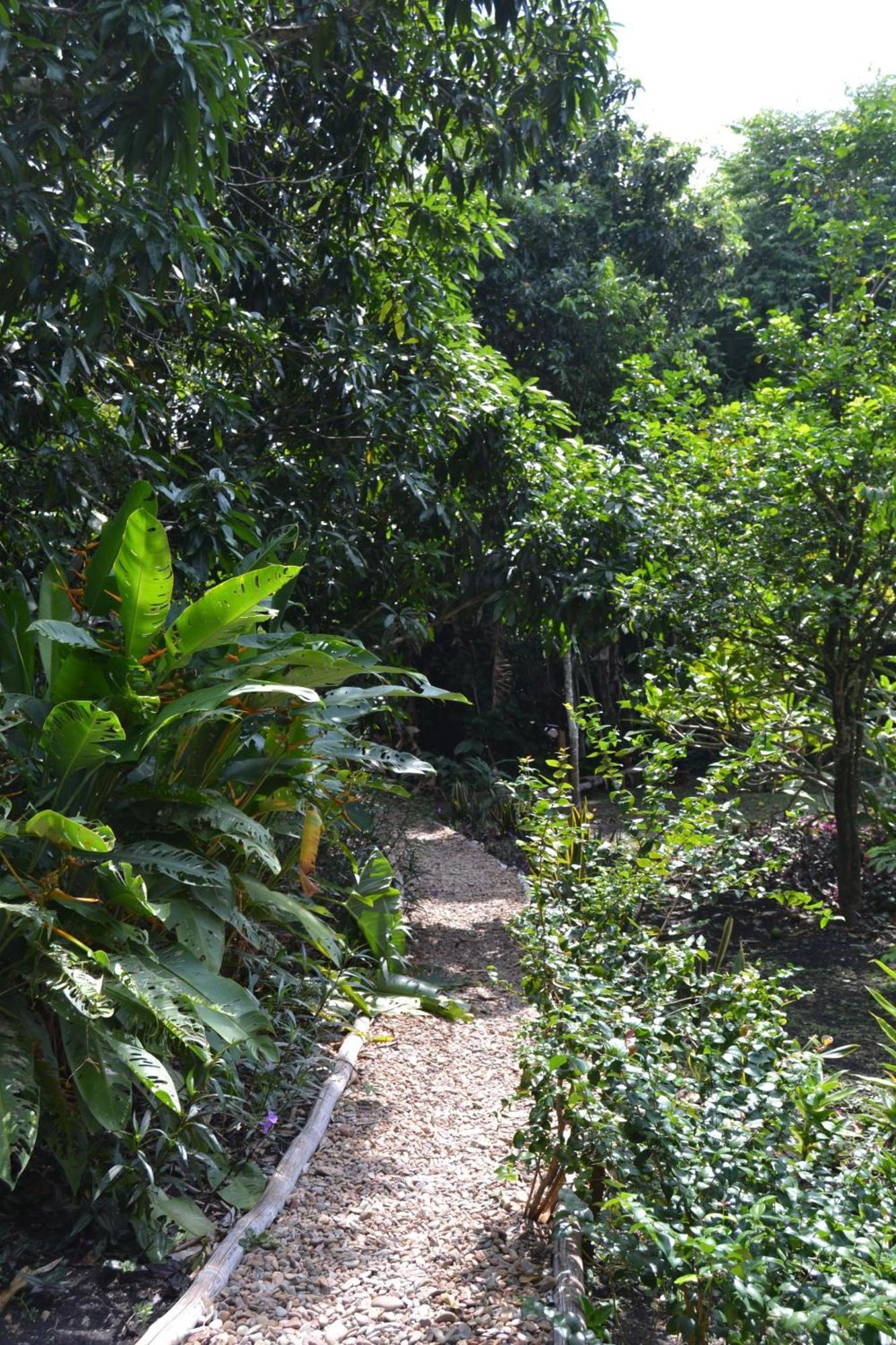 Iguana Roost Tourism Gold Standard Fully Equipped Two Bedroom Cabin 산 이그나시오 외부 사진