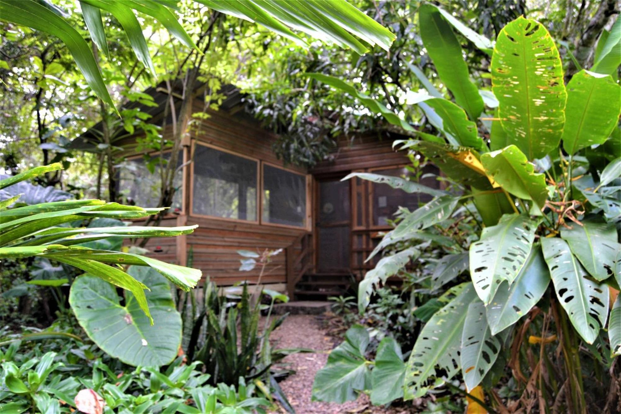 Iguana Roost Tourism Gold Standard Fully Equipped Two Bedroom Cabin 산 이그나시오 외부 사진